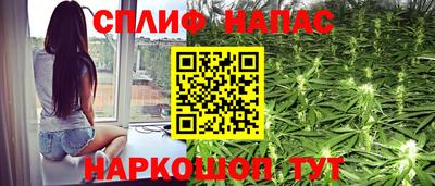 крисы Малгобек