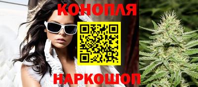 крисы Малгобек