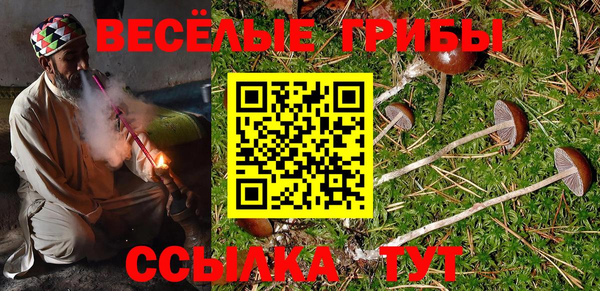 Галлюциногенные грибы MAGIC MUSHROOMS  Вход с VPN  Ухта 